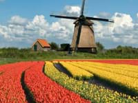 Gek op Holland themafeest met 3-gangen diner