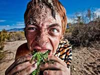 Expeditie Robinson als personeelsuitje op het strand