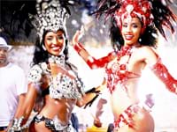 Tropisch themafeest diverse steden Tropisch themafeest diverse steden