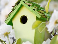 Workshop vogelhuisje versieren als vrijgezellenfeest in Leiden