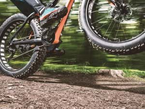Fatbike tour regio Arnhem Fatbike tour regio Arnhem