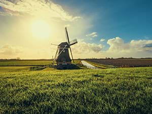 Hollandsche Avond dinnershow als alternatief voor een moorddiner